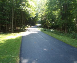 fresh pavement on the road in nature