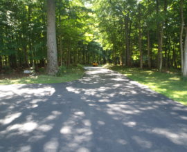 corass road fork with new pavement on the road